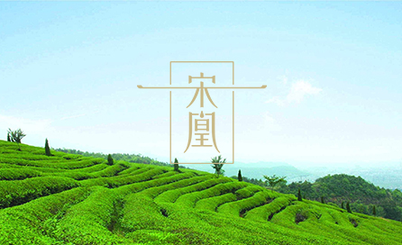 宋凰生態茶業有限公司